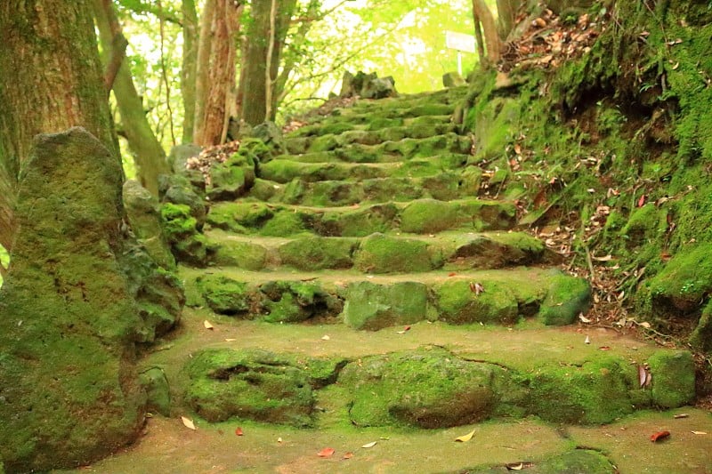 森林，Hallasan，山谷，石头，苔藓门，苔藓楼梯，苔藓，寺庙，Hyonom，