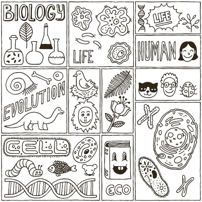 生物科学条幅。手绘矢量插图。