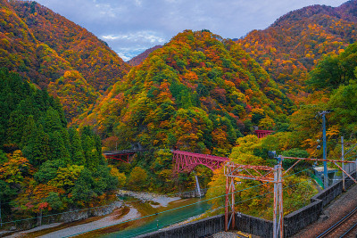秋谷的风景