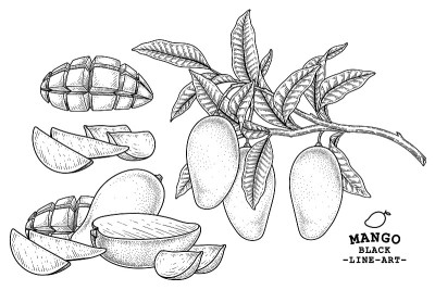 一套芒果水果手绘元素植物插画