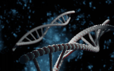 DNA结构，分离的深蓝色背景上的抽象螺旋分子丛。医学、遗传生物技术、化学生物学、基因细胞进化、未来基