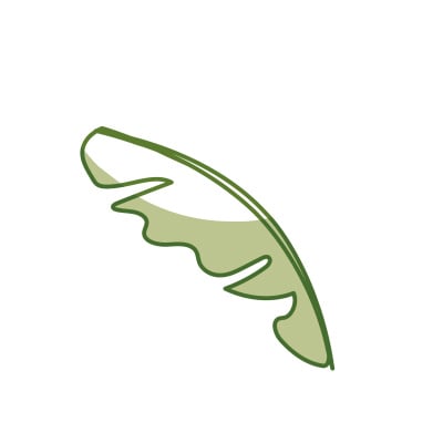 森林里奇异植物美丽叶子的剪影