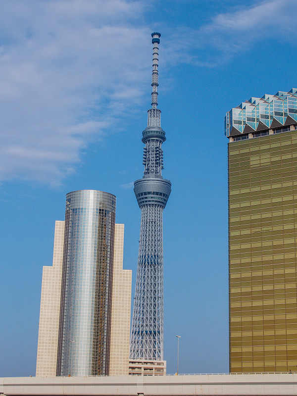 东京天空树和东桥河畔