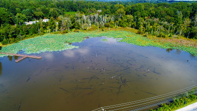 Pond-er
