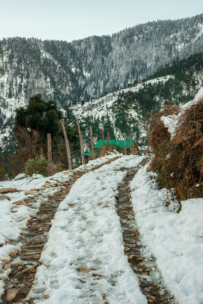 雪中的道路-雄伟的冬季景观在喜马拉雅山