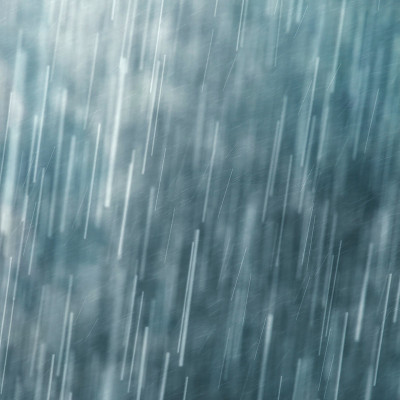 雨
