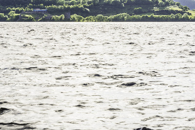 lochness湖景观