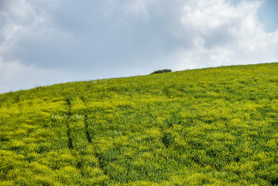 巴西利卡塔Val D'Agri的乡村景观