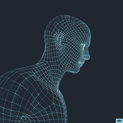 从3d网格的人的头。几何设计。
