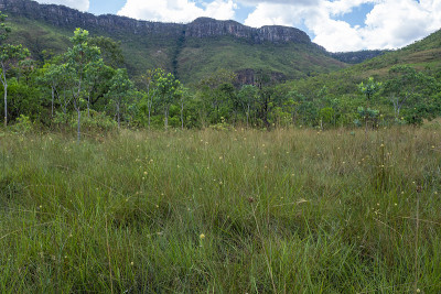 veadeiros的Chapada dos veadeiros