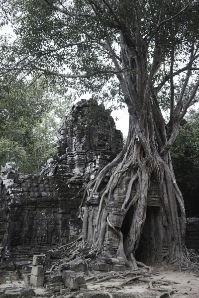 吴哥窟是一个很受欢迎的旅游景点