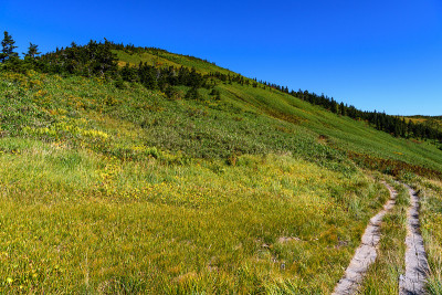 Aizukomagatake山和山路