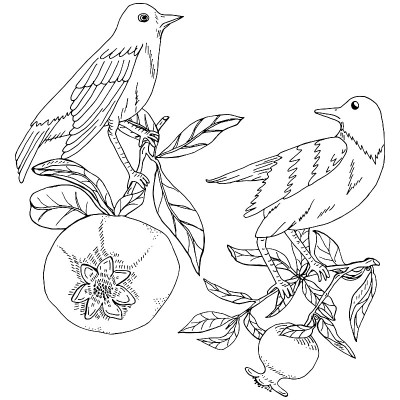 Hand drawn nightingales birds in pomegranates tree