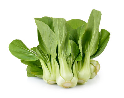 白底白菜
