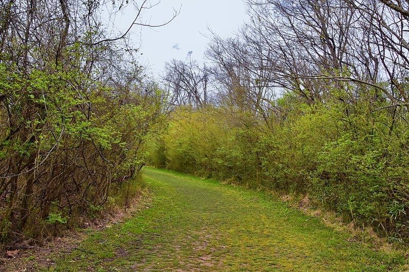 自然景观和沿着Shelby Bottoms绿道和坎伯兰河自然区域的路径，低地阔叶林，开阔的田野，湿地