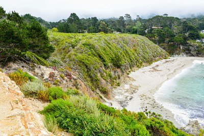 吉布森海滩- Point Lobos，卡梅尔，加州
