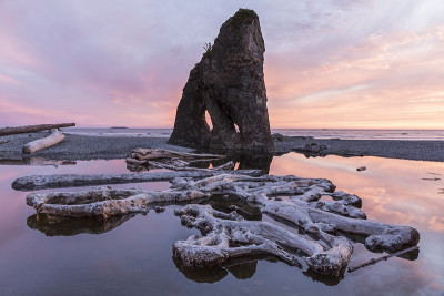 红宝石海滩浮木和海堆洞