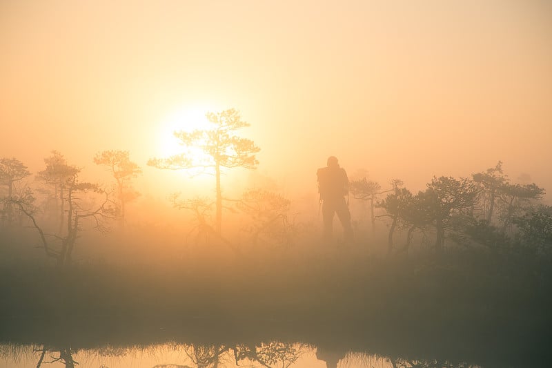 沼泽中美丽的、多彩的日出景观。梦幻般朦胧的沼泽景色在清晨。