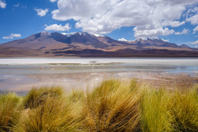 玻利维亚Altiplano reserva南部Lipez的本田泻湖