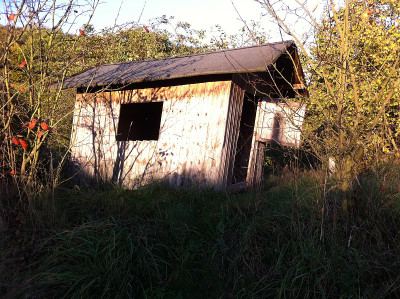 德国秋天的老花园小屋