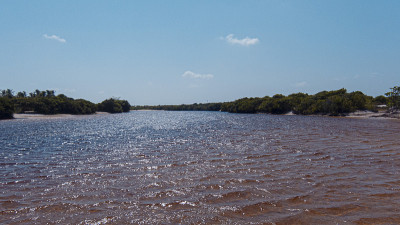 Lençóis Maranhenses国家公园的沼泽