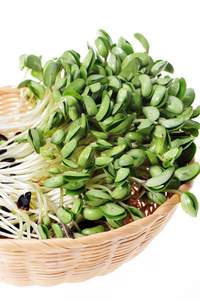 白底黑豆芽