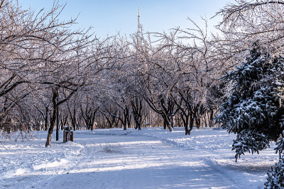 冬季景观御花园在长春，中国后大雪