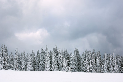 冬天，捷克的巨人山脉有雪