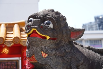 中国寺庙的庙犬
