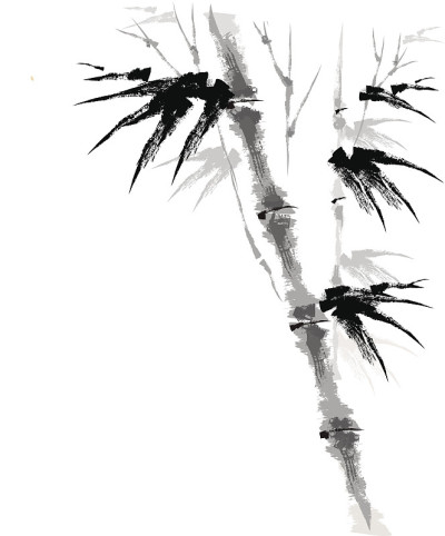 竹林景色