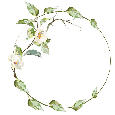 茉莉花架