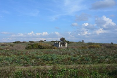 米利都，大圆形剧场，古城，Aydın，迪迪姆，Türkiye，伊奥尼亚，首都，泰利斯，阿纳克西米尼斯