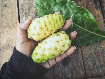诺丽热带水果