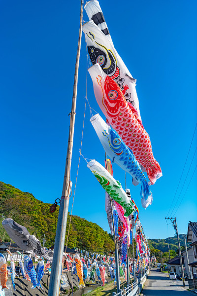 鲤鱼飘带