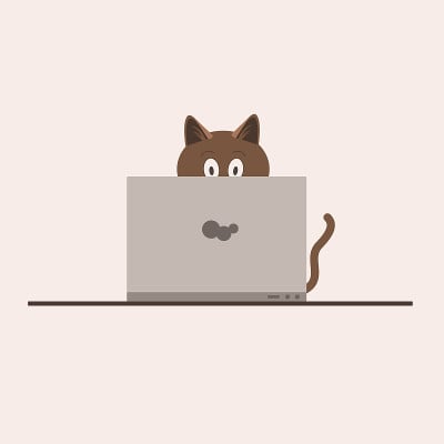 一只棕色的猫正坐在桌子上的笔记本电脑前。猫学习