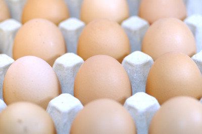 egg9