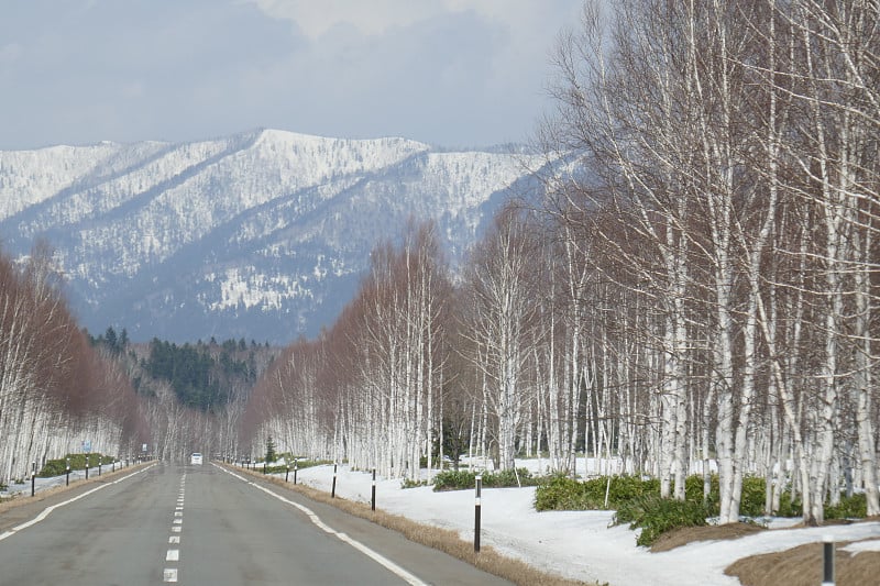 初春的北海道努卡比拉路