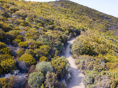 航拍的路径海关官员，植被和地中海灌木，科西嘉，法国