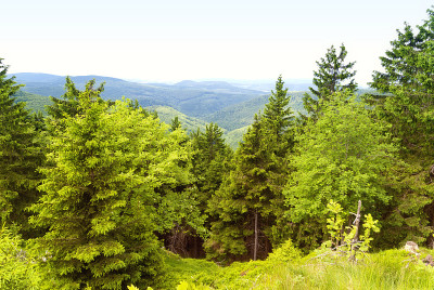 Rennsteig