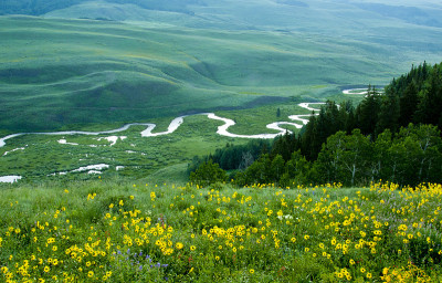 野花山河在日出
