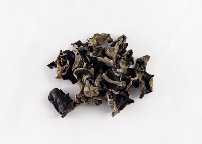 一组木耳，ki-kirage，在白色背景上