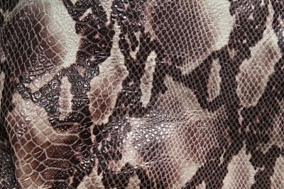 Snake_Skin