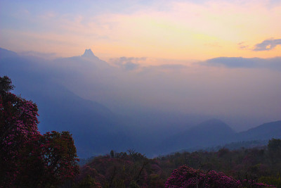Machapuchare在日出