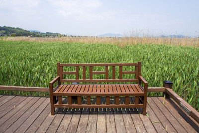 韩国顺天湾