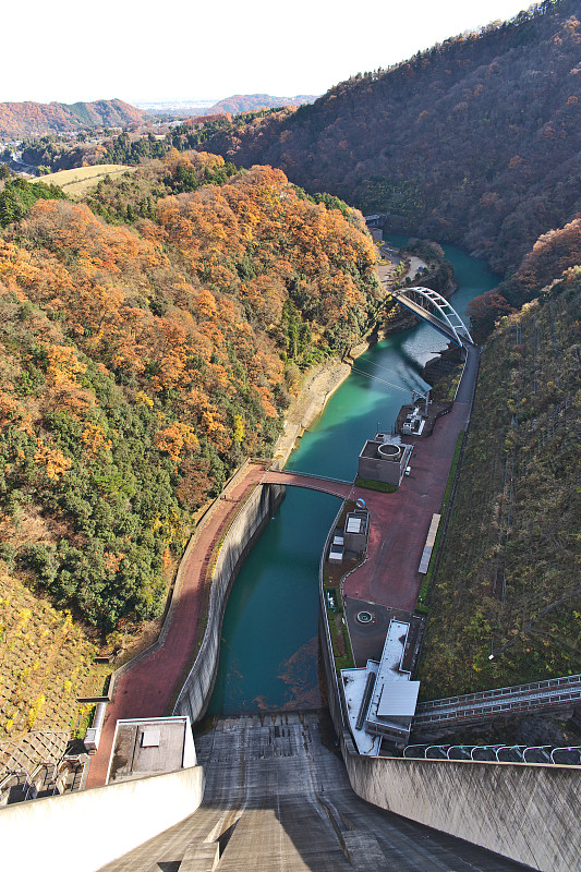 坝和彩叶