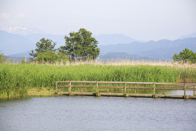 福岛的泻湖