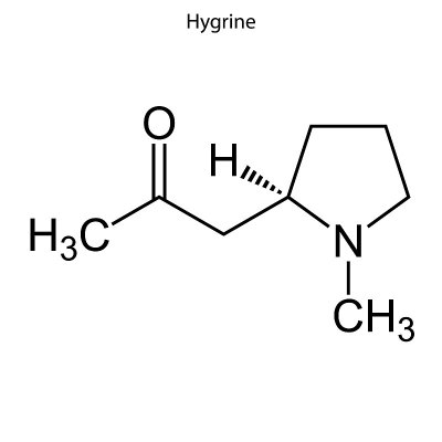 化学分子的骨架式。