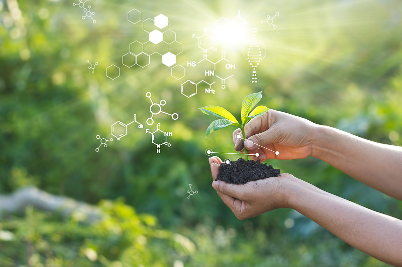 生物实验室自然与科学，绿色背景下具有生物化学结构的植物。