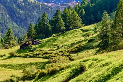 欧洲山