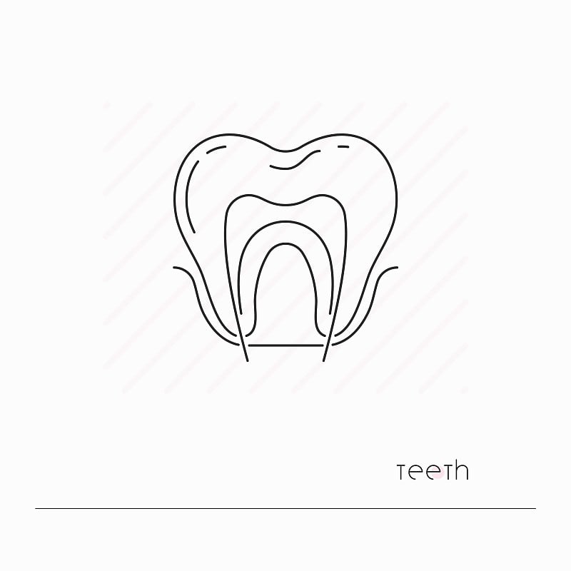 牙图标孤立。单线牙与神经符号。人体解剖学轮廓象形图